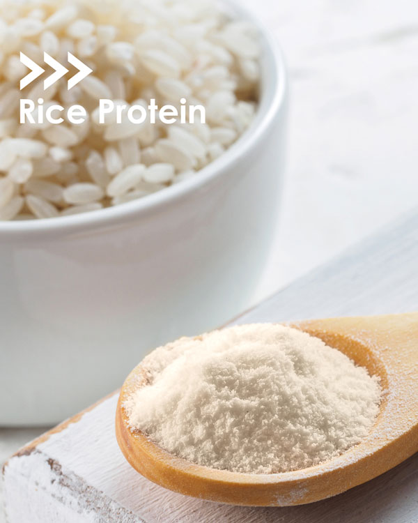 news-rice-protein