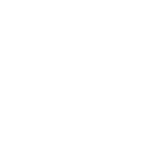 Betriebswirtschaftliche-Beratung-icon