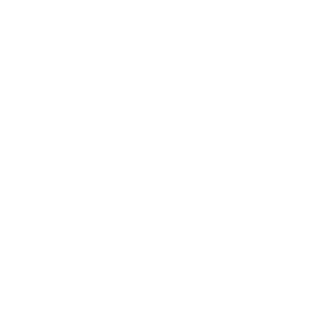 Finanzbuchhaltung-icon
