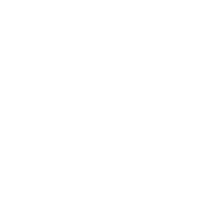 Steuererklaerung-Optimierung-icon