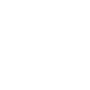 Vermoegensübergabe-icon